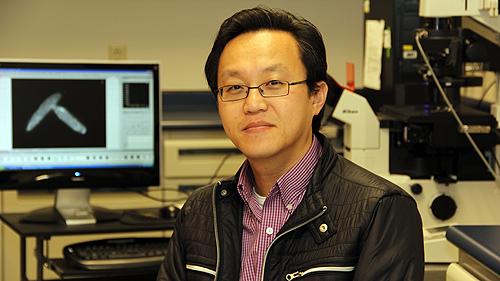 Faculty Picture